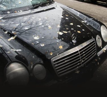 چگونه یک پوشش سرامیکی اتومبیل شما را از فضله پرندگان ایمن می کند؟