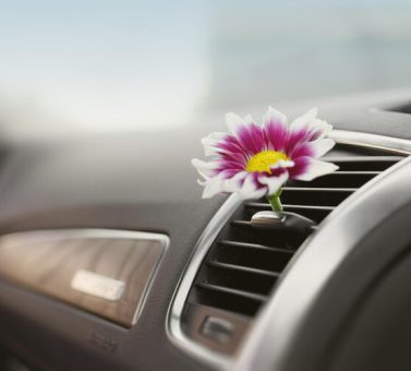 4 راه برای حفظ بوی جدید خودرو