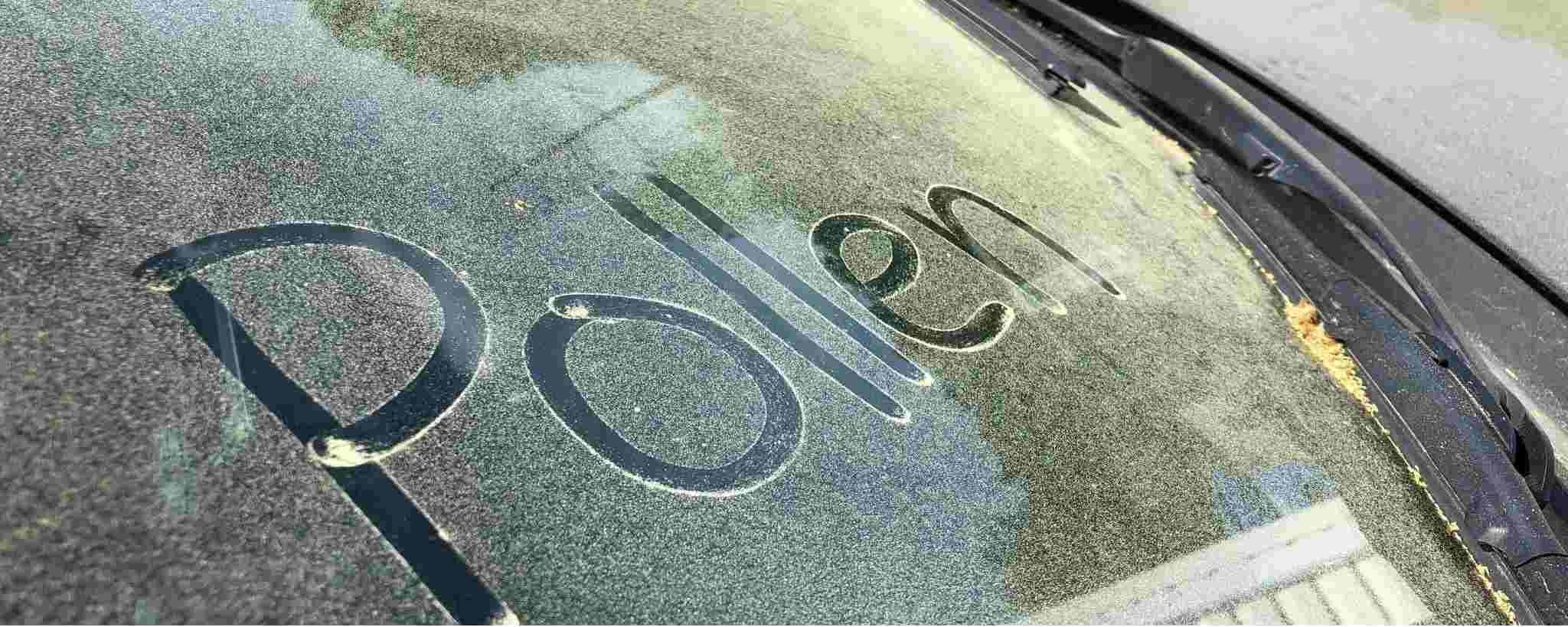 بهترین روش‌های حذف گرده از خودرو